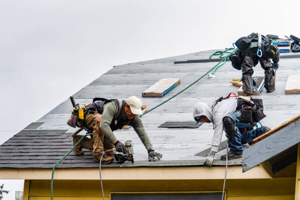 Professional Storm Damage Roof Repair technician working in Cambridge, IA